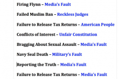 who_is_at_fault_according_to_Trump